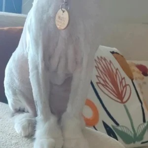 Nazlı fotoğrafı 1
