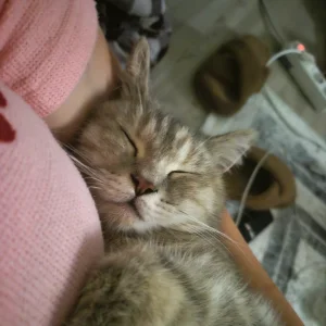 Linda fotoğrafı 1